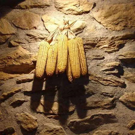 Cal Sams Country house Olopte