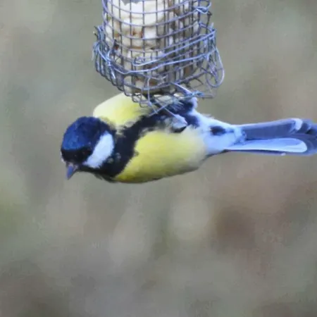 Country house Cal Sams *