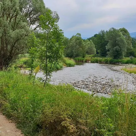卡尔萨姆斯酒店 *